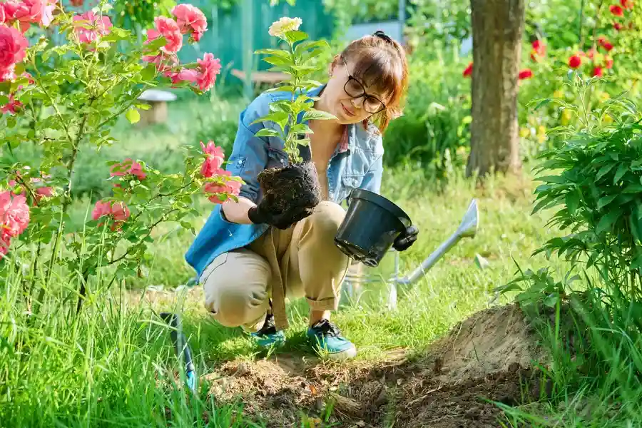 Common Yard Cleaning Mistakes To Avoid For A Neater Garden San Jose, CA Common Yard Cleaning Mistakes To Avoid For A Neater Garden San Jose, CA