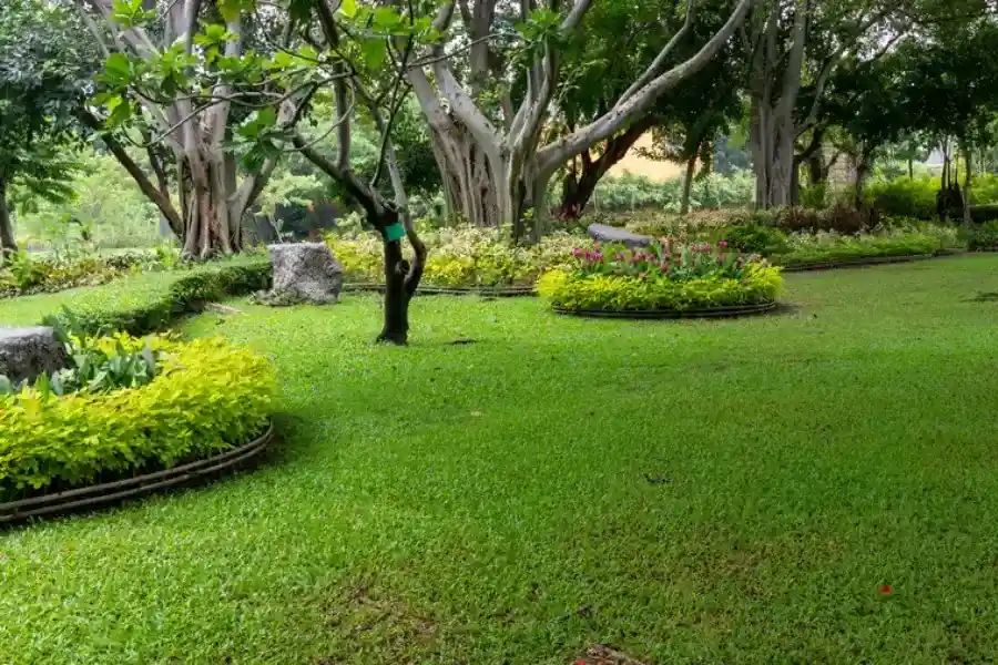 Expert Landscape Maintenance San Jose, CA Expert Landscape Maintenance San Jose, CA