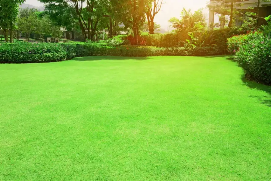 How Yard Maintenance Affects Property Value And Aesthetics San Jose, CA How Yard Maintenance Affects Property Value And Aesthetics San Jose, CA