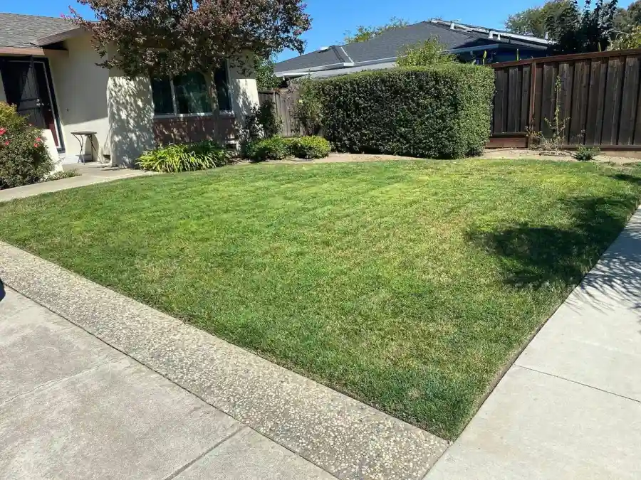 Landscaping Contractor in San Jose, CA Landscaping Contractor in San Jose, CA