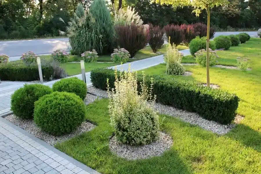 The Role Of Yard Maintenance In Sustainable Landscaping in San Jose, CA The Role Of Yard Maintenance In Sustainable Landscaping in San Jose, CA